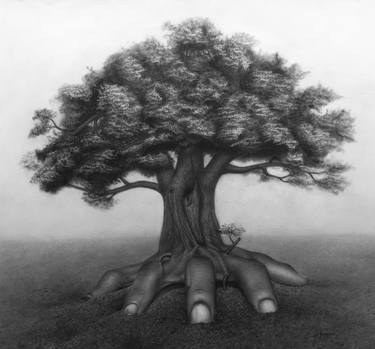 Original Realism Nature Drawings by Idy Harrison