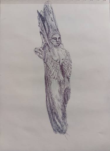 Original Figurative Nature Drawings by Arianna Conta
