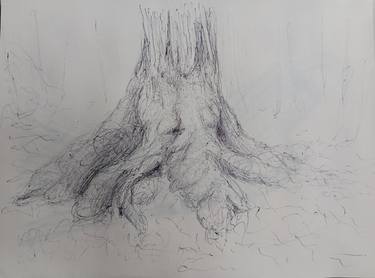 Tree roots n.2 thumb