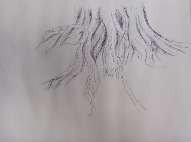 Tree roots n.3 thumb