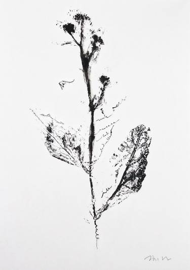 Original Botanic Printmaking by Jörg Schmitz