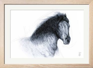 Original Black & White Animal Drawings by Miro Donau