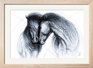 Original Black & White Horse Drawings by Miro Donau