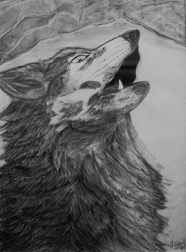 Original Black & White Animal Drawings by Mustabshirah Malik