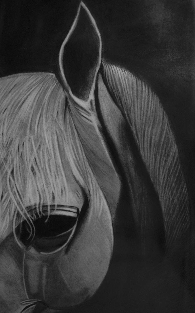 Original Black & White Animal Drawing by Mustabshirah Malik