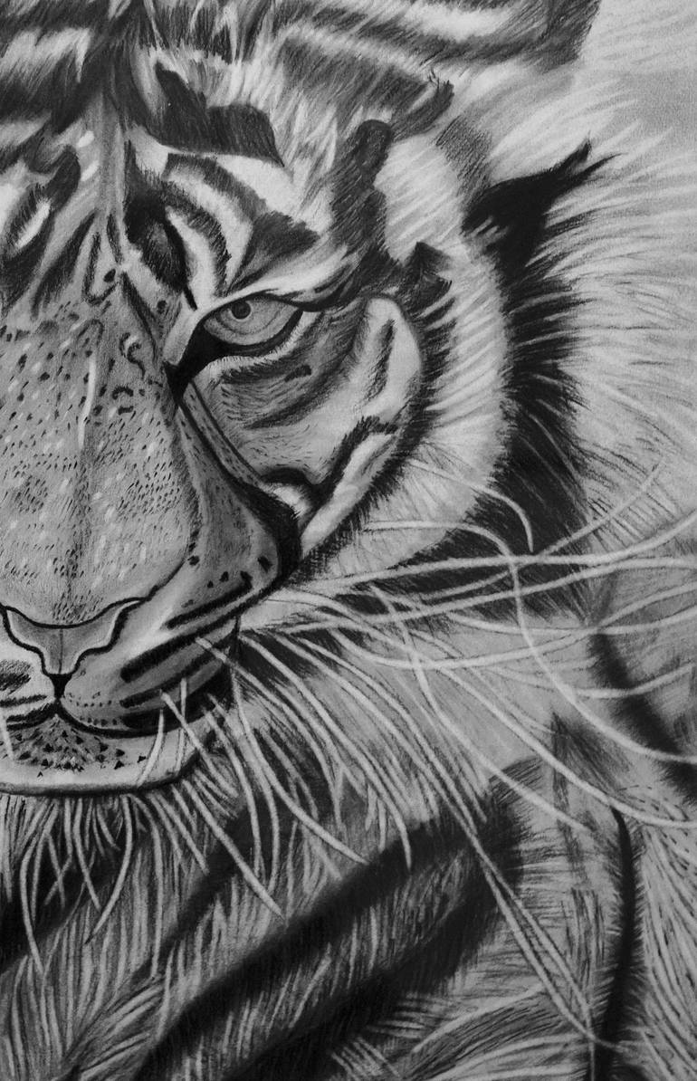 Original Black & White Animal Drawing by Mustabshirah Malik