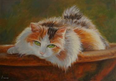 Original Figurative Cats Paintings by Silvia Acciai