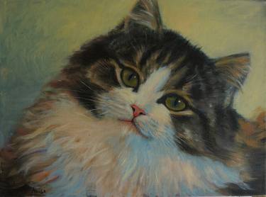 Original Figurative Cats Paintings by Silvia Acciai