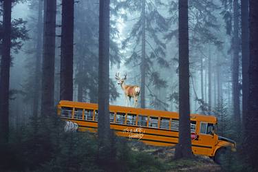 Original Surrealism Animal Photography by Cristina Burns