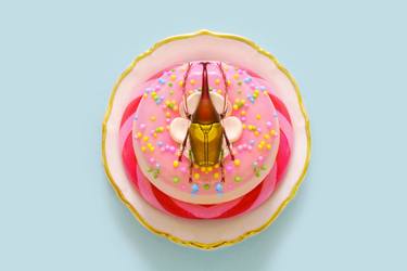 Original Conceptual Still Life Photography by Cristina Burns