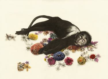 Original Figurative Animal Drawings by Kirsty Whiten