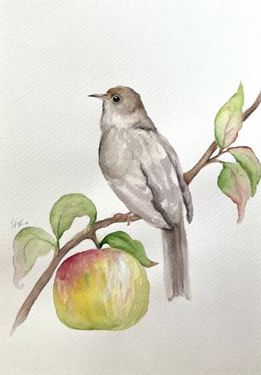 Nightingale on an apple tree branch thumb