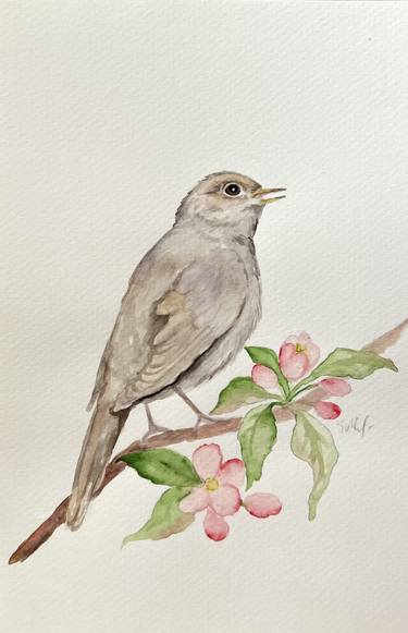 Nightingale on a flowering branch thumb