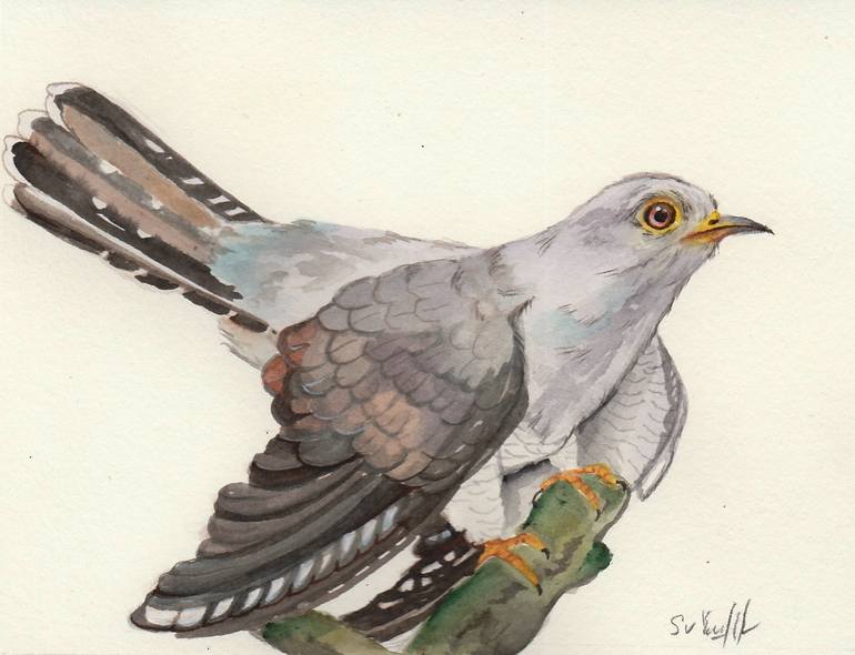 Original Realism Animal Painting by Svetlana Surzhikova