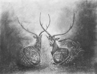 Print of Animal Drawings by srinivas balneedi