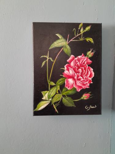 Original Floral Paintings by Christina Straub