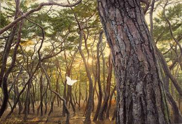 Original Expressionism Landscape Paintings by joon hwan kim