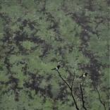 Collection Earthy Minimalism