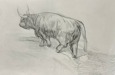 Highland cow (sketch) thumb