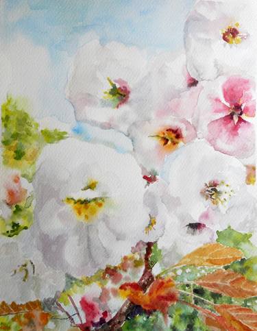 Original Floral Paintings by Michele Cannavale