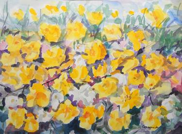 Original Impressionism Floral Paintings by Michele Cannavale