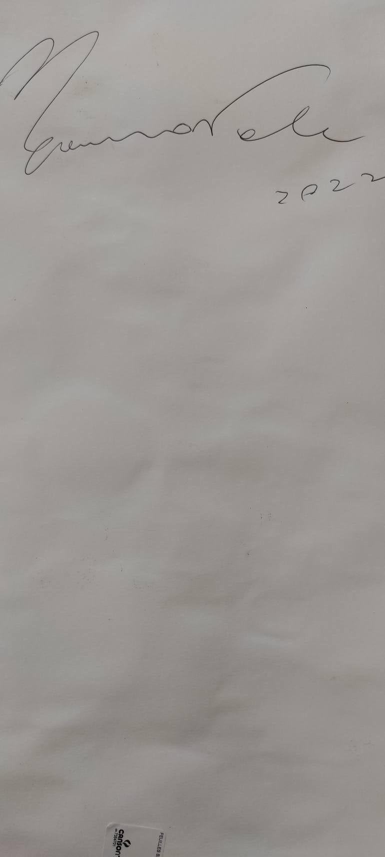 Original Abstract Painting by Michele Cannavale