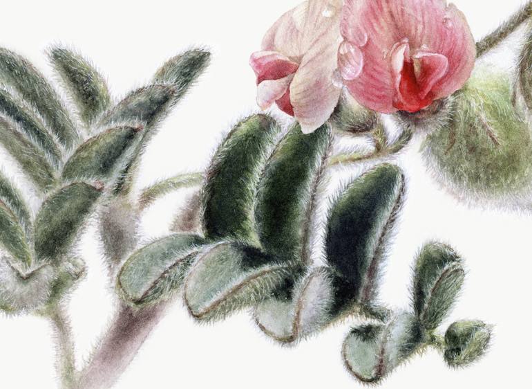 Original Botanic Painting by Anna Samoilichenko