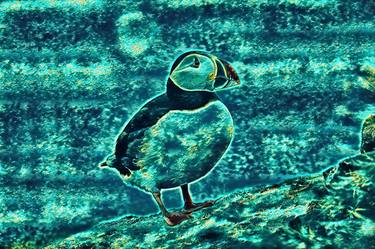 Altered Realities: AI-Enhanced Portraits of Puffins. Piece 2. thumb