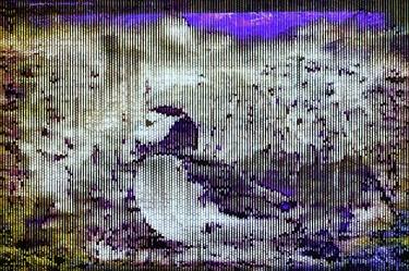 Altered Realities: AI-Enhanced Portraits of Puffins. Piece 6 thumb