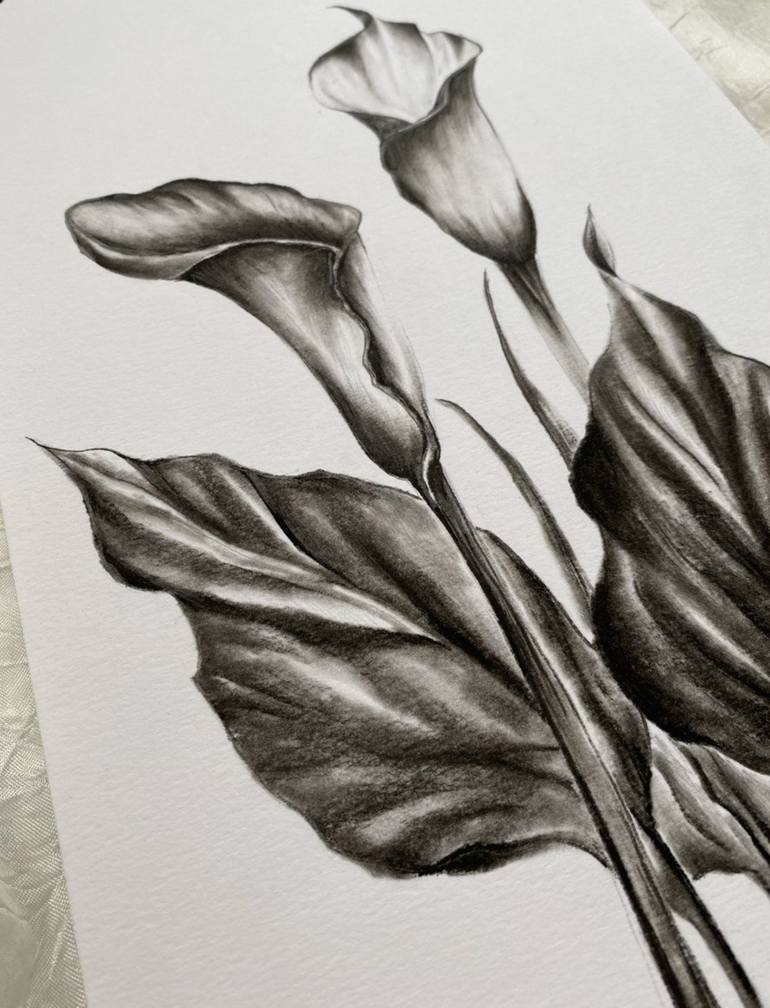 Original Floral Drawing by Anastasiia Dimitrova