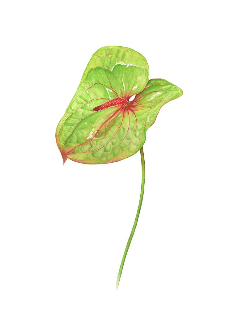 Original Realism Botanic Painting by Lesia Zaitseva