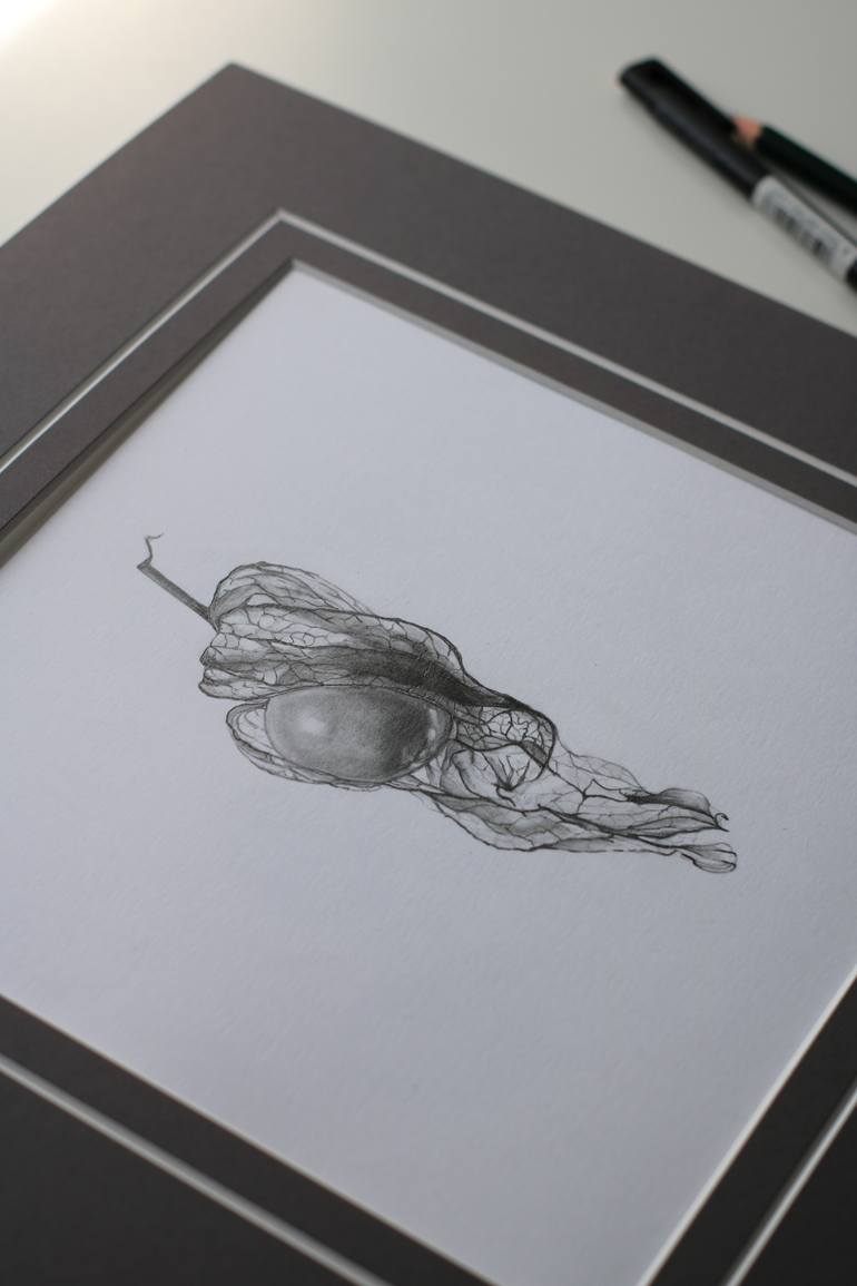 Original Black & White Botanic Drawing by Lesia Zaitseva