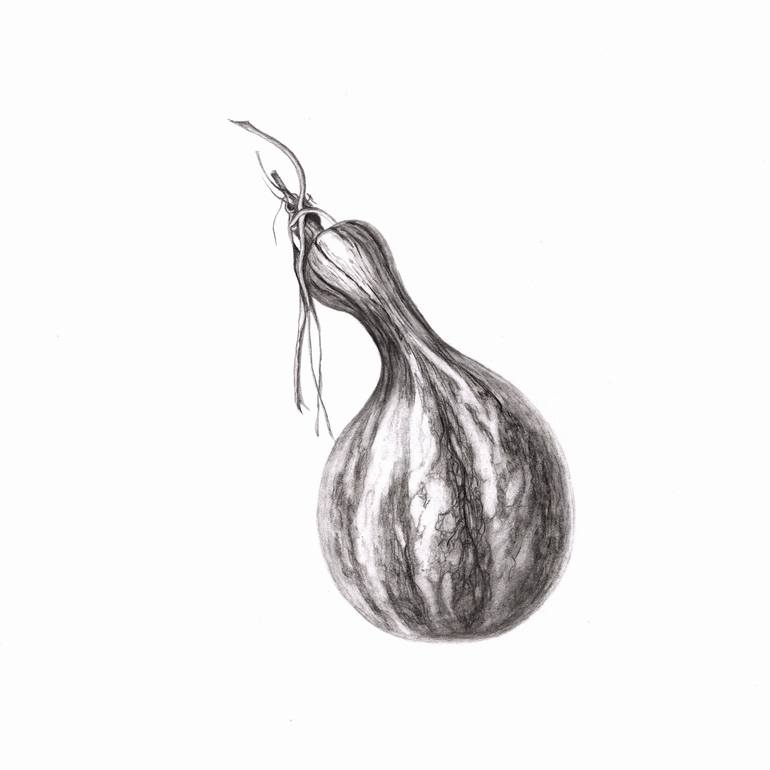 Original Black & White Botanic Drawings by Lesia Zaitseva