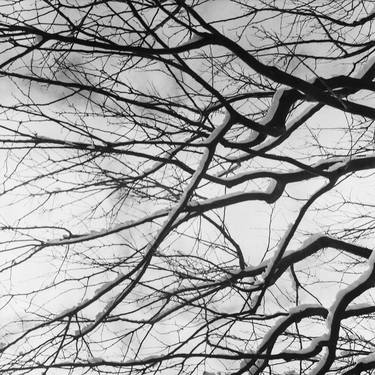 Original Black & White Nature Photography by Emilia Brandão