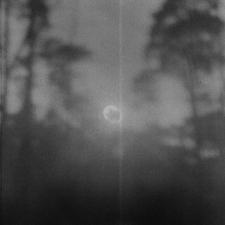 Original Abstract Nature Photography by Emilia Brandão