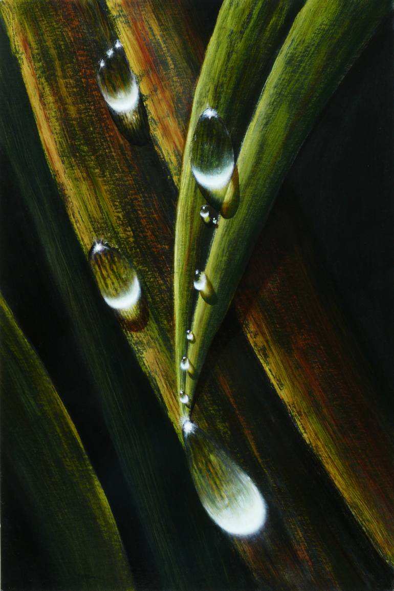 Water Drip Art Water Drip Art