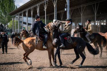 Original Horse Photography by Thomas Bissay