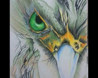 Eagle Artwork Pencil Colours thumb