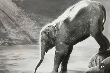 Original Animal Drawings by Tamanpreet Singh