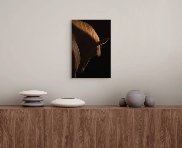 Original Contemporary Horse Photography by Deanne Ward