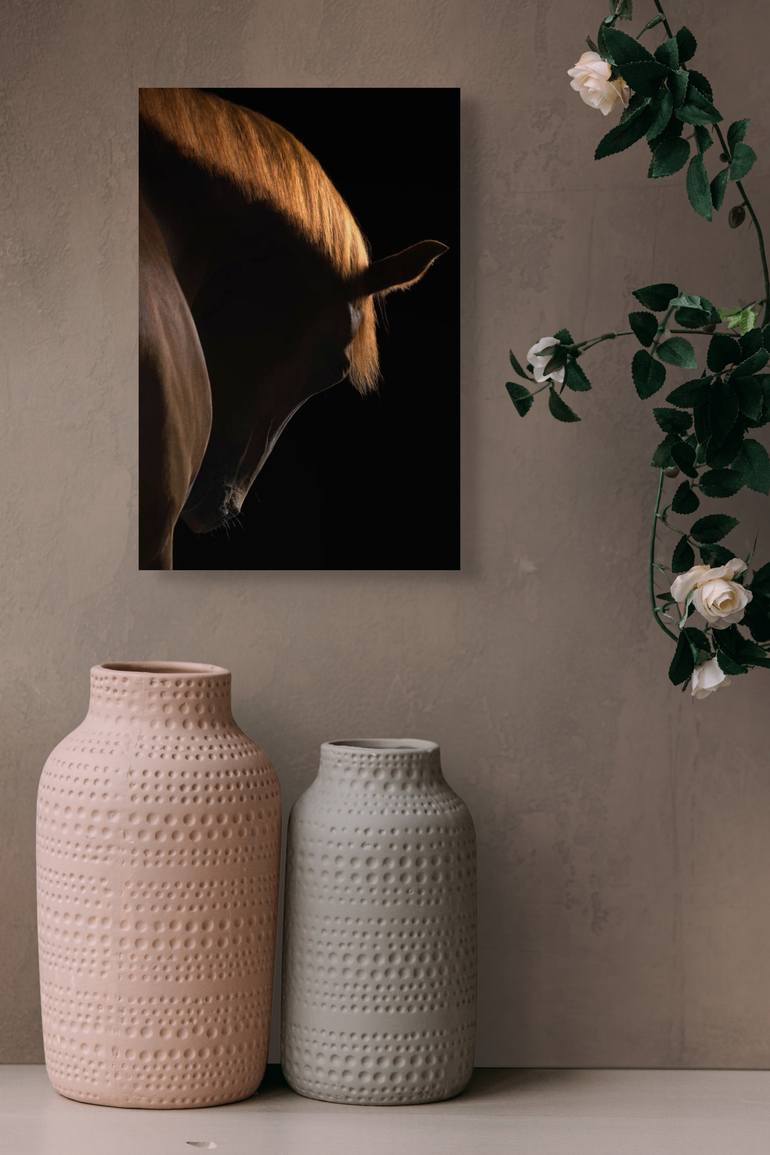 Original Contemporary Horse Photography by Deanne Ward