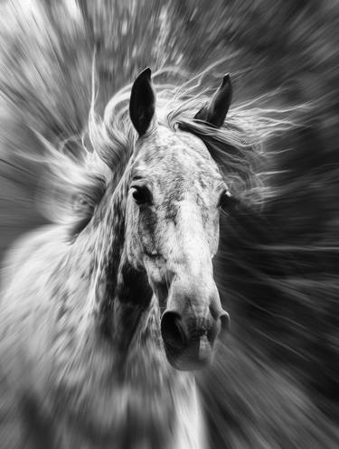 Original Abstract Horse Photography by Viktor Boiko