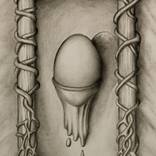 Illusion by Thomas W. Bossert