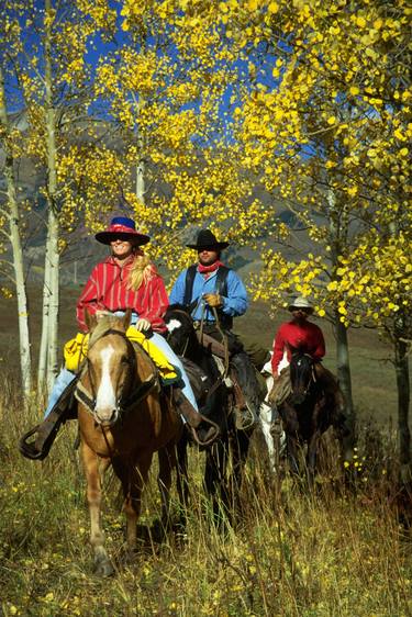 Original Horse Photography by Gordon Reeves