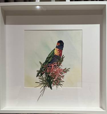 Australian Rainbow lorikeet thumb