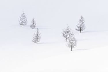 Original Minimalism Landscape Photography by Alex Yazlovsky