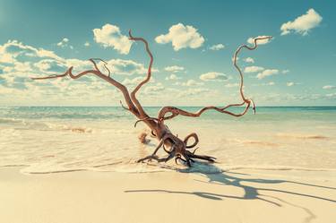 Original Surrealism Seascape Photography by Alex Yazlovsky