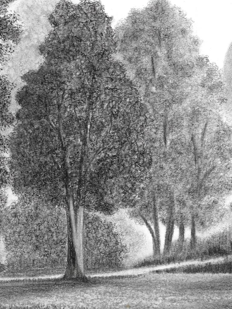 Original Black & White Nature Drawing by Kunal Girme