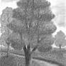 view additional image 1