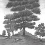 view additional image 1